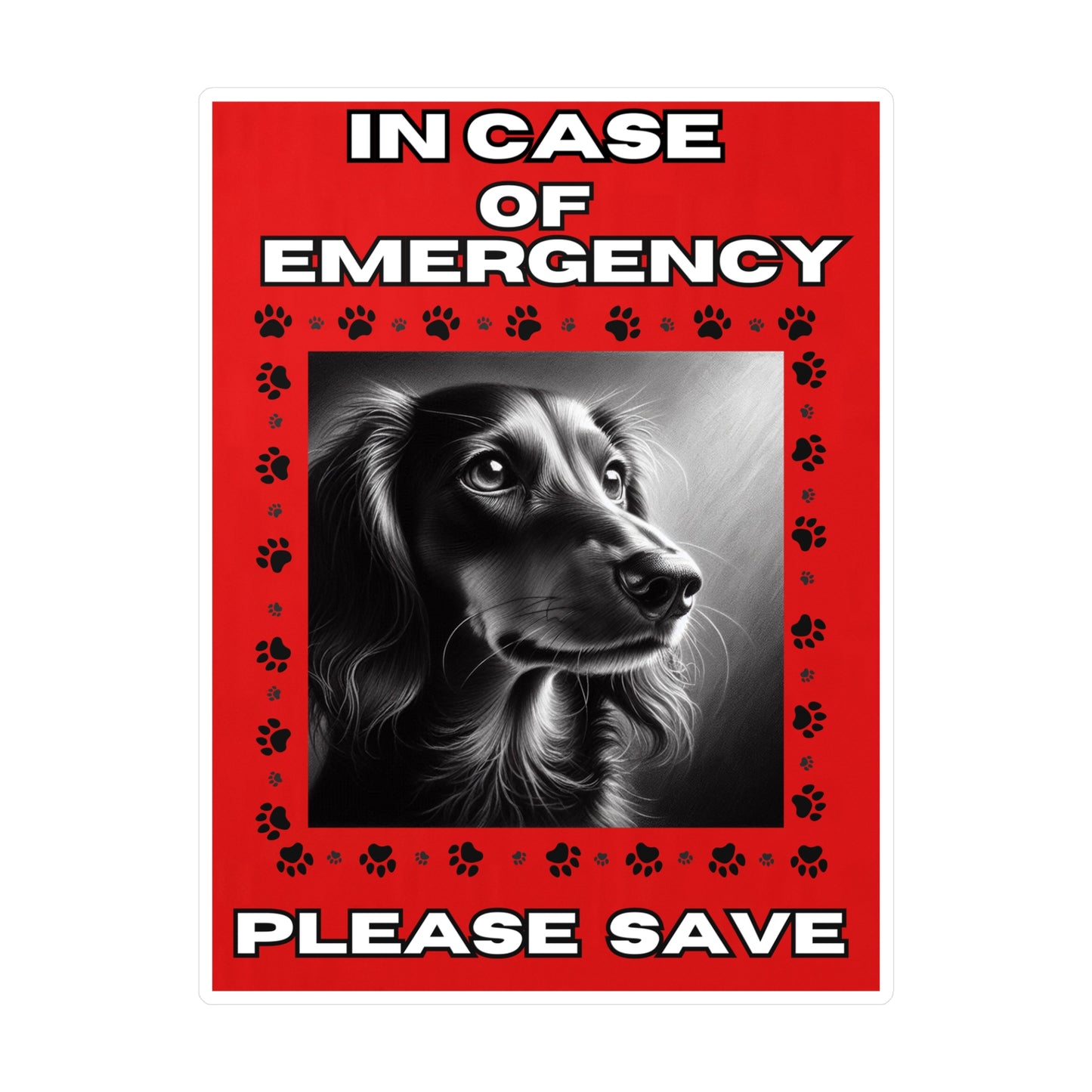 Pet Safety Rescue Vinyl Decal