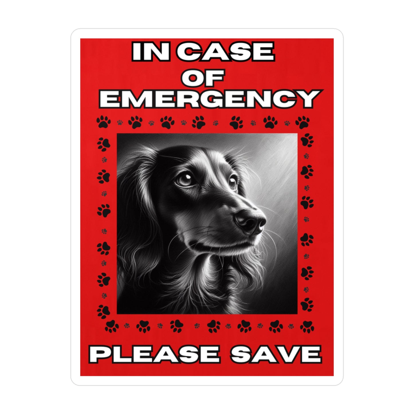Pet Safety Rescue Vinyl Decal